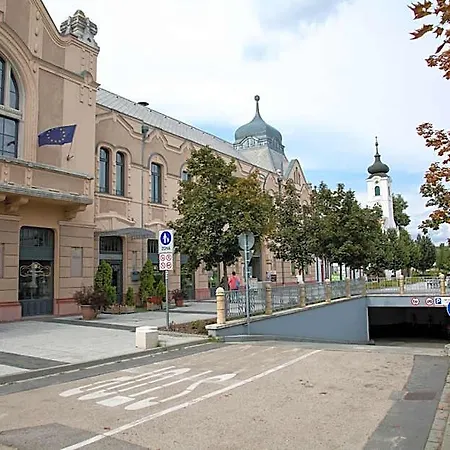 ホテル Erzsebet Kiralyne Szalloda Gödöllő